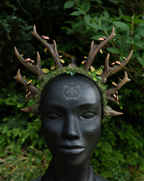 Antler Fungi Crown