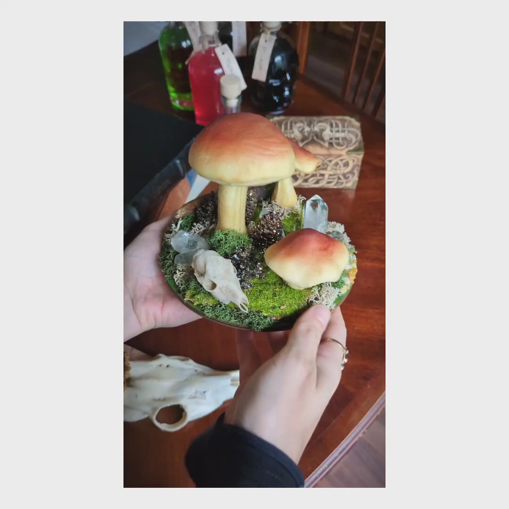 Mushroom Decor