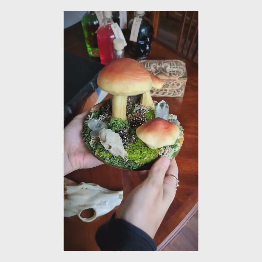 Mushroom Decor